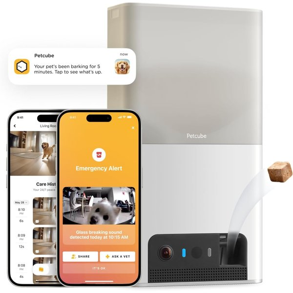 Petcube Bites 2 Lite WiFi pet camera with treat dispenser and app