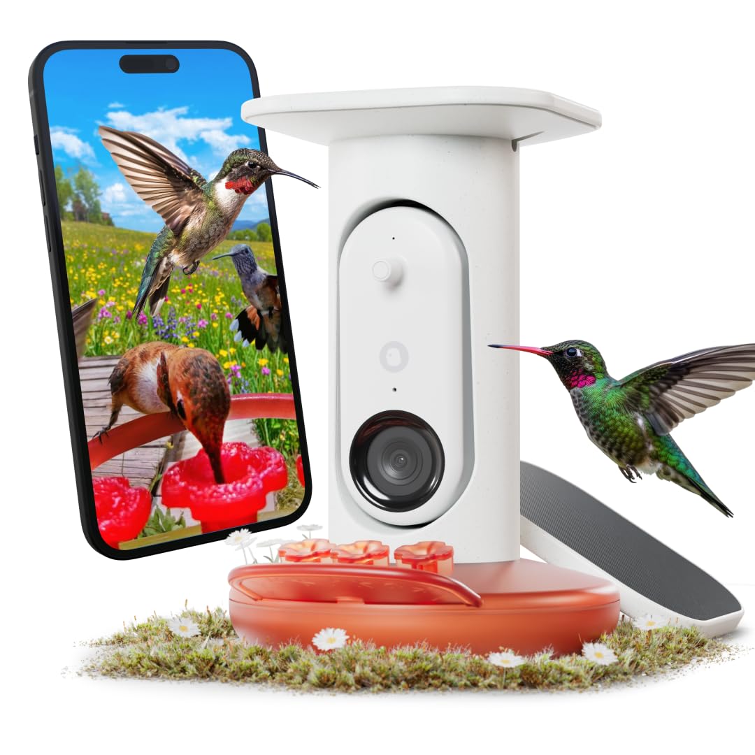 Bird Buddy solar-powered smart hummingbird feeder with slow-motion camera