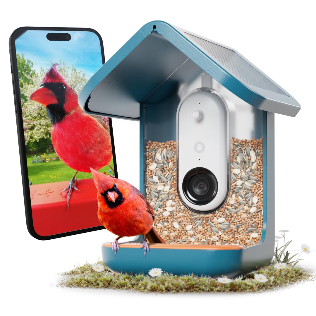 Bird Buddy PRO Solar smart bird feeder with built-in 2K camera