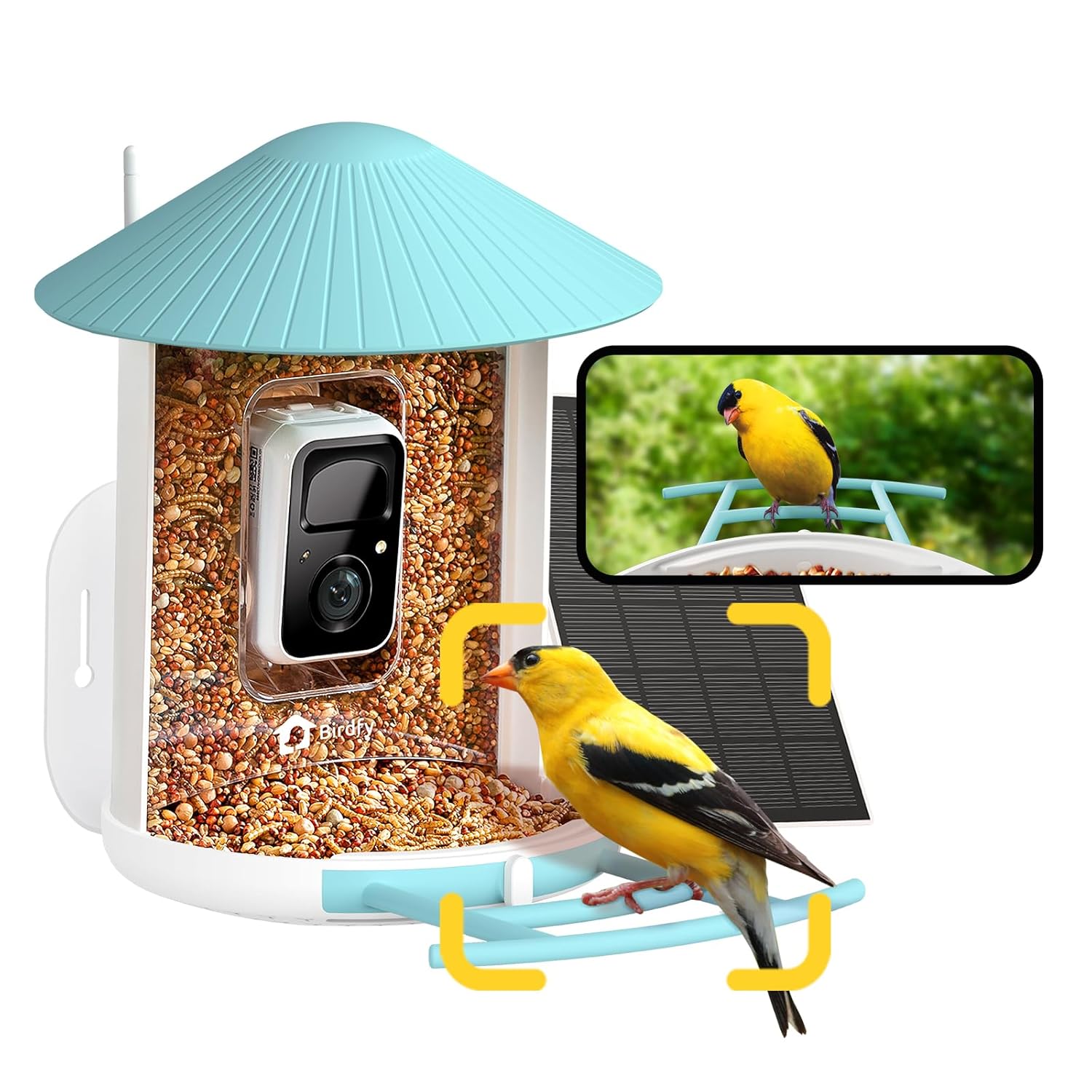 NETVUE Birdfy smart bird feeder with AI camera and app alerts