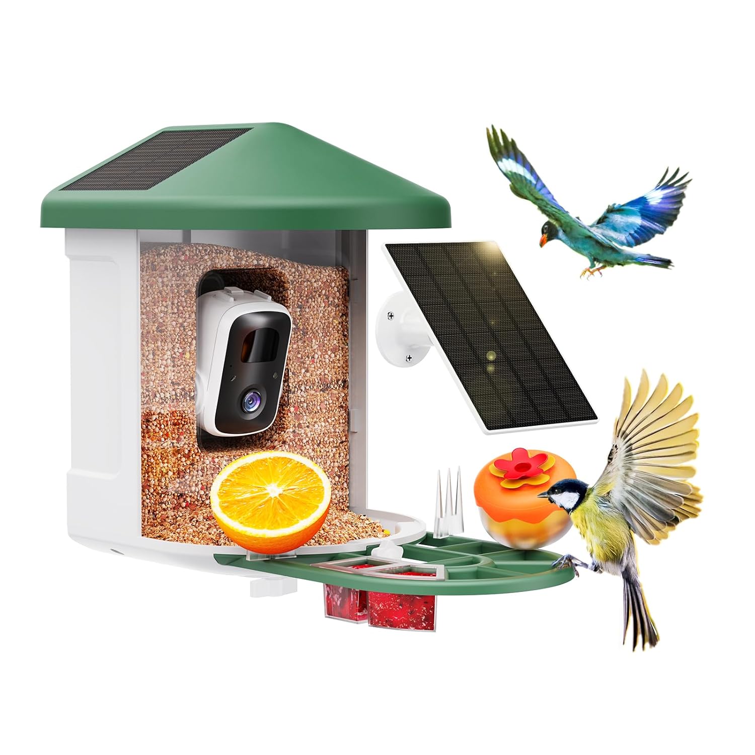 Harymor smart bird feeder with camera and solar panel